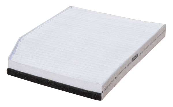 FORD TRANSIT CUSTOM Polen Filitresi