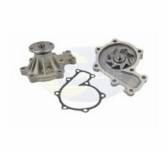 Ranger Devirdaim 1998-2012