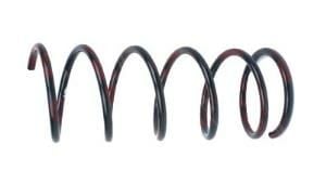 focus ön helezon 1999/2004