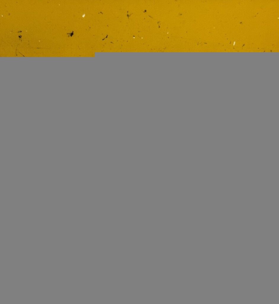 ARKA KAPI KİLİT KAMA SACI FORD TRANSİT T15 1993-2001