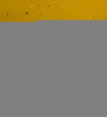 ARKA KAPI KİLİT KAMA SACI FORD TRANSİT T15 1993-2001