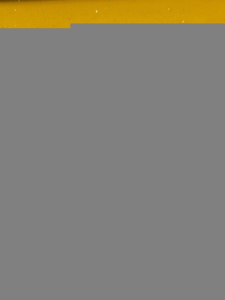 ARKA KAPI GERGİ TAKOZ FORD TRANSİT V184 2001-2006